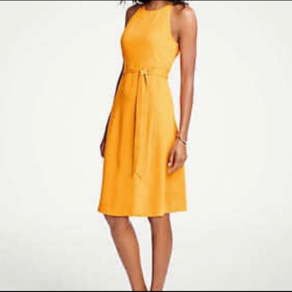 Fit and Flare Halter Dress